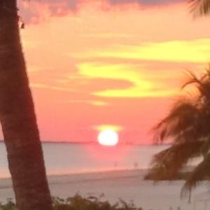 Meet your Posher, An